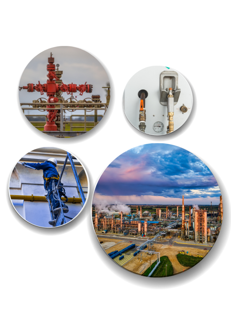 lmx company profile